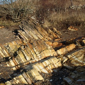 Tiger Rock at Cuil Bay